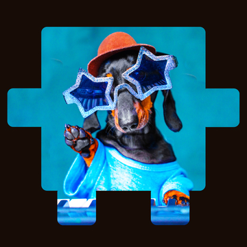 A daschund wearing a hat, star sunglasses and blue shirt